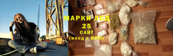 ГАЛЛЮЦИНОГЕННЫЕ ГРИБЫ Баксан