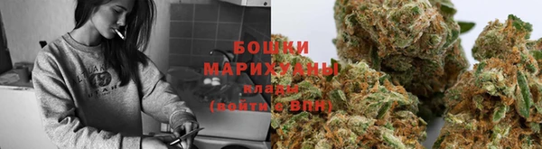 ГАЛЛЮЦИНОГЕННЫЕ ГРИБЫ Баксан