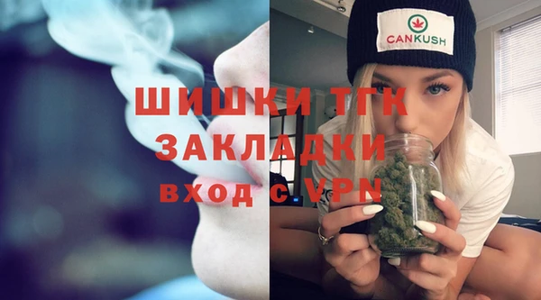 ГАЛЛЮЦИНОГЕННЫЕ ГРИБЫ Баксан
