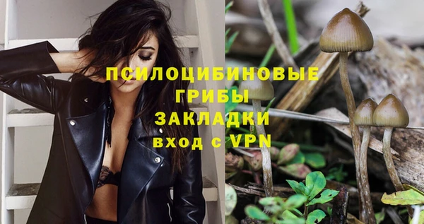 ГАЛЛЮЦИНОГЕННЫЕ ГРИБЫ Баксан