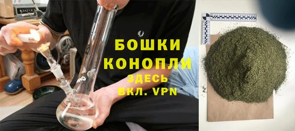 ГАЛЛЮЦИНОГЕННЫЕ ГРИБЫ Баксан