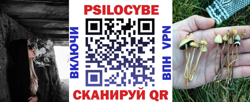 Галлюциногенные грибы мицелий  Гороховец 